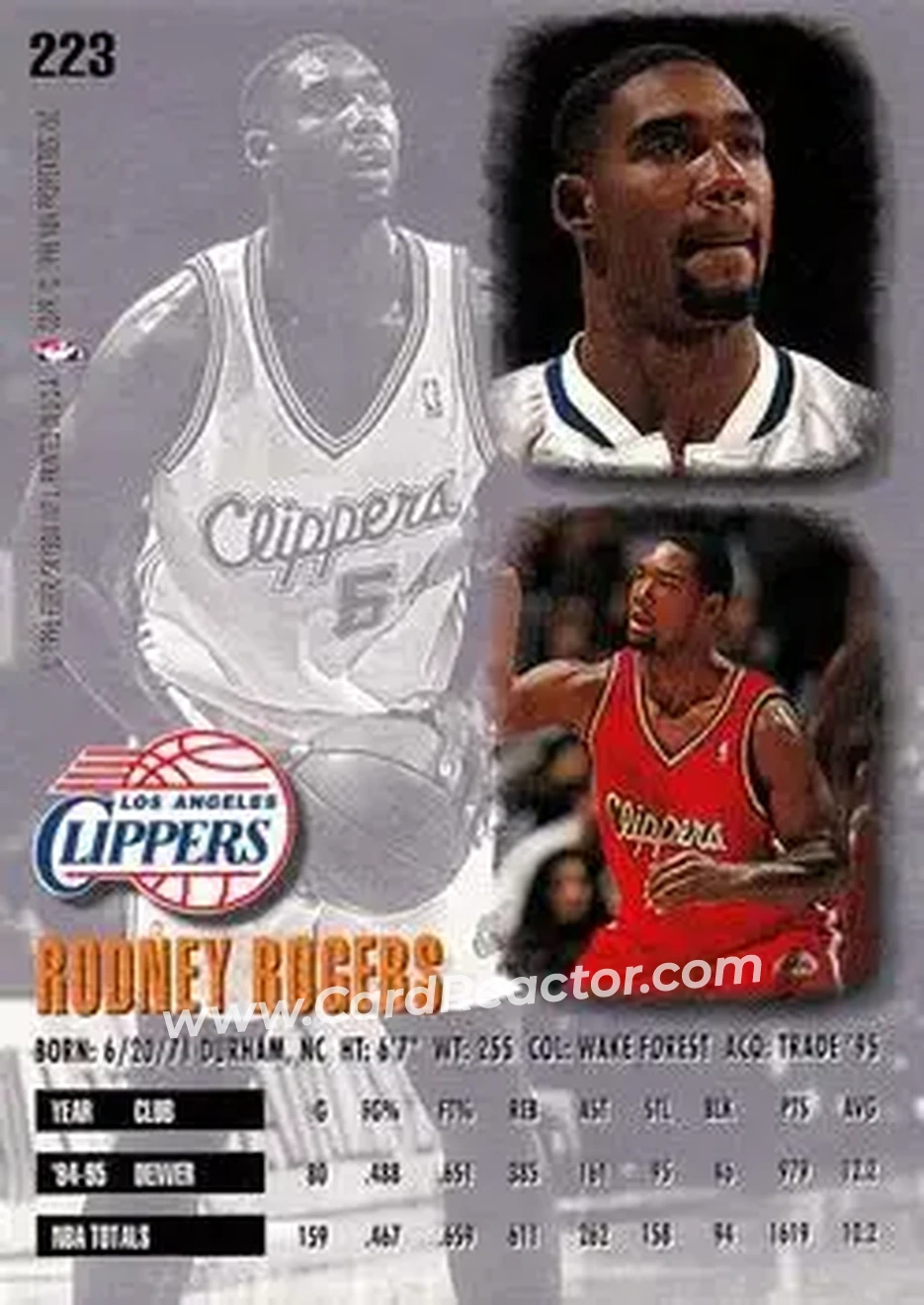 Back of Rodney Rogers