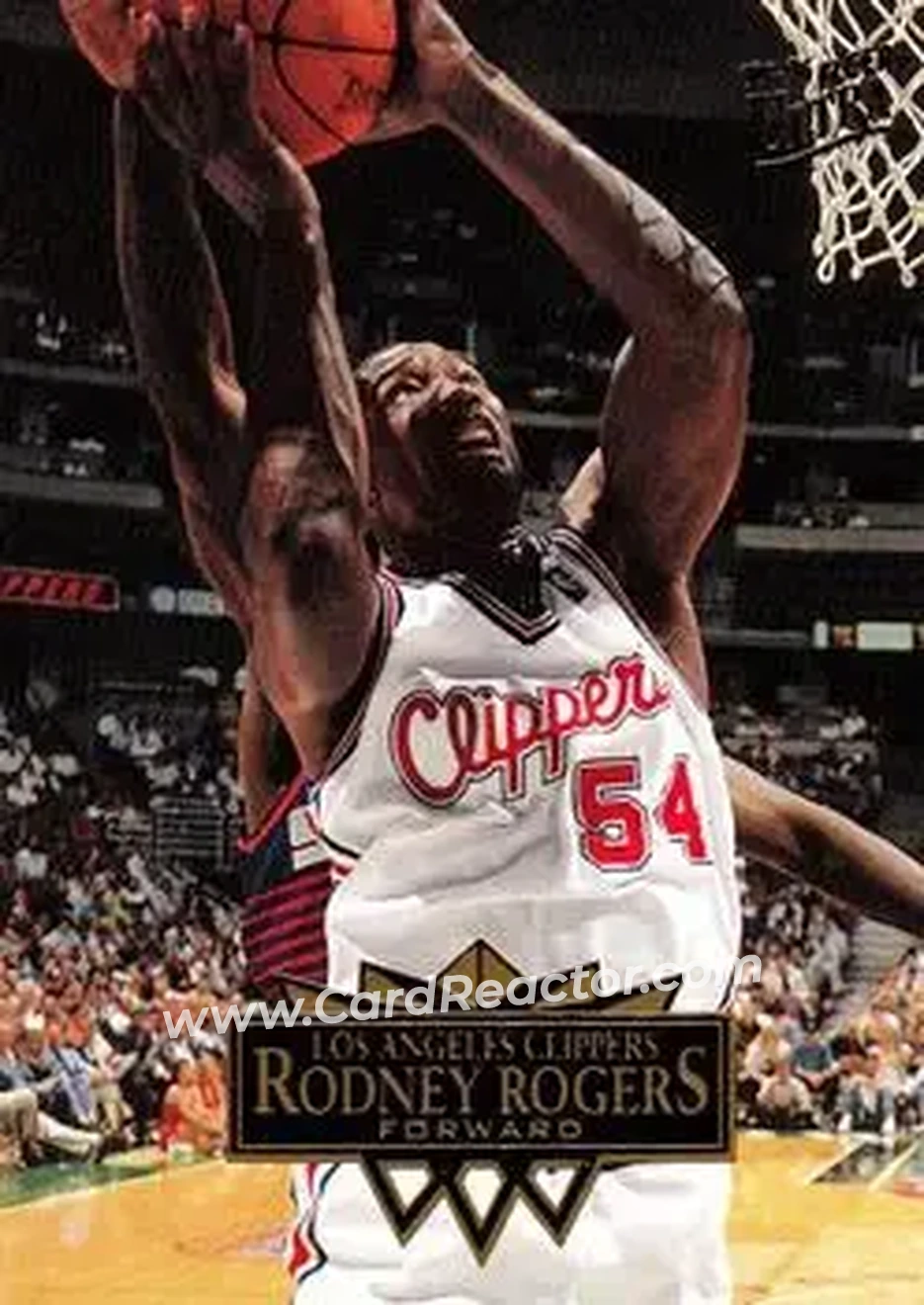 Front of Rodney Rogers