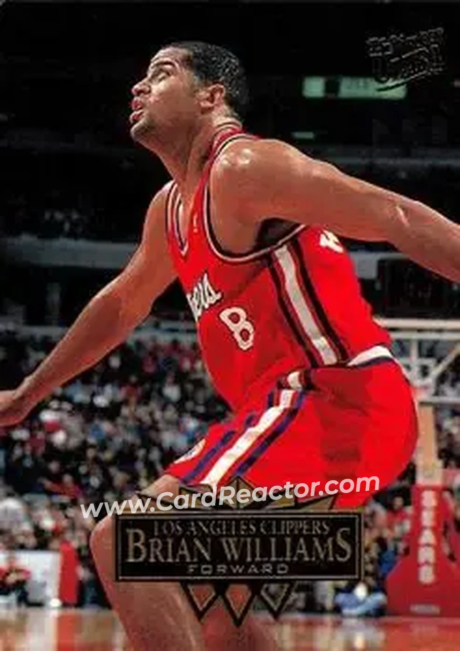 Front of Bison Dele