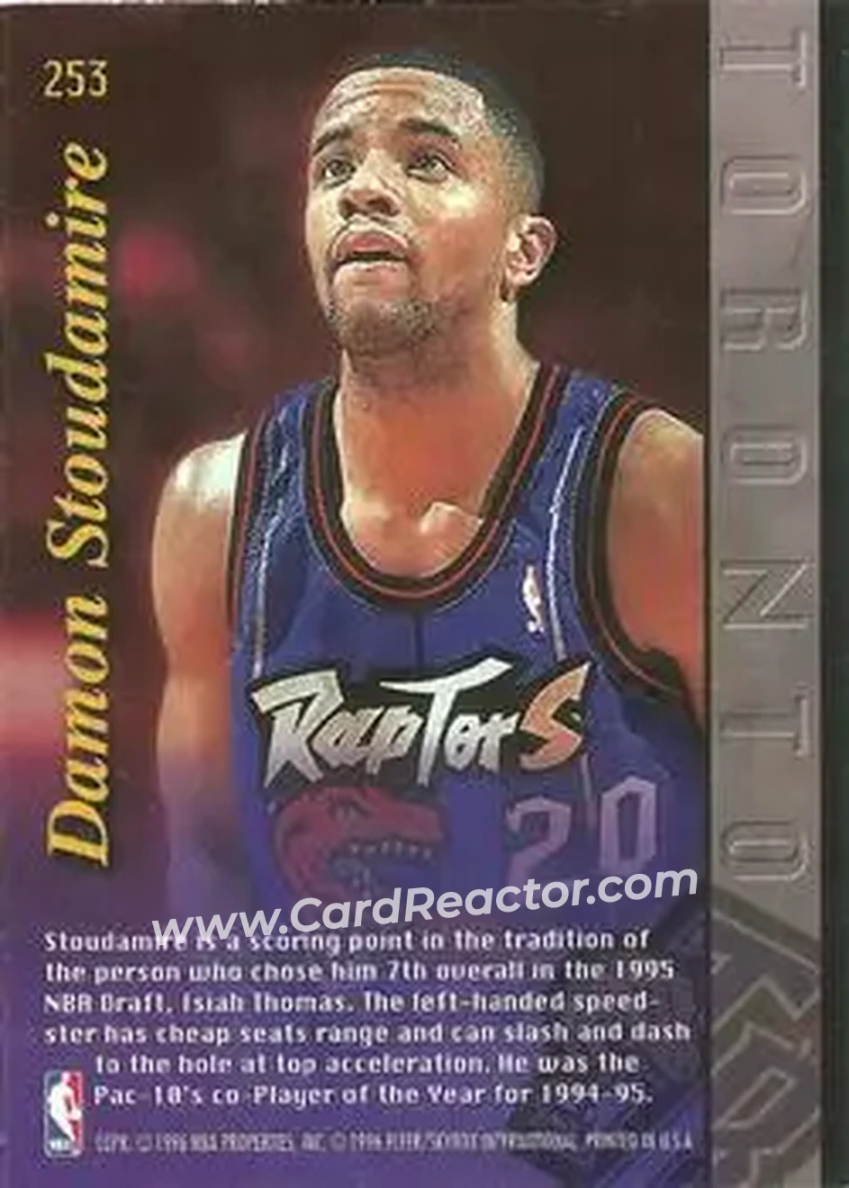 Back of Damon Stoudamire