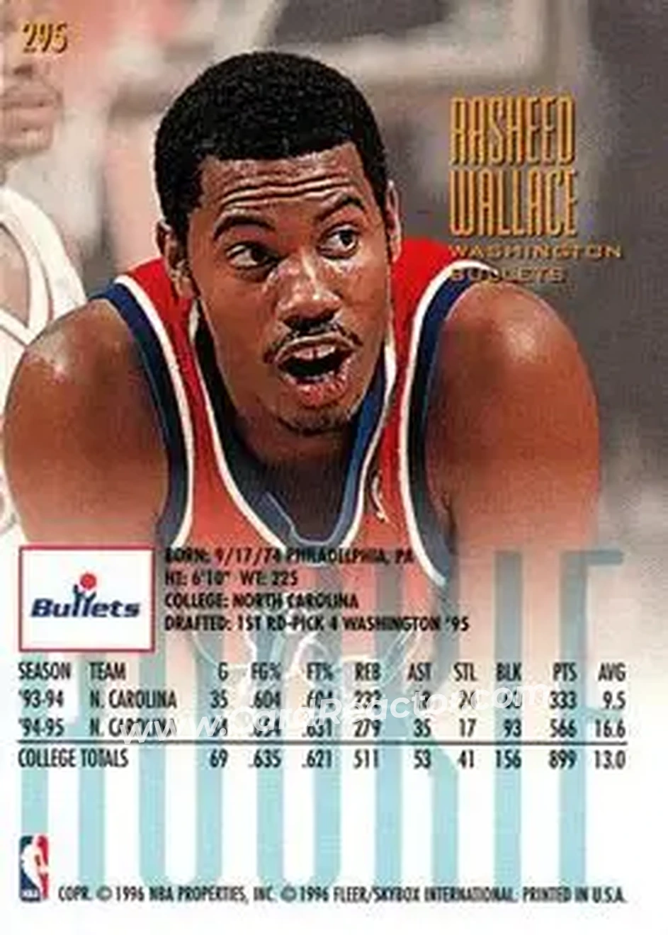 Back of Rasheed Wallace