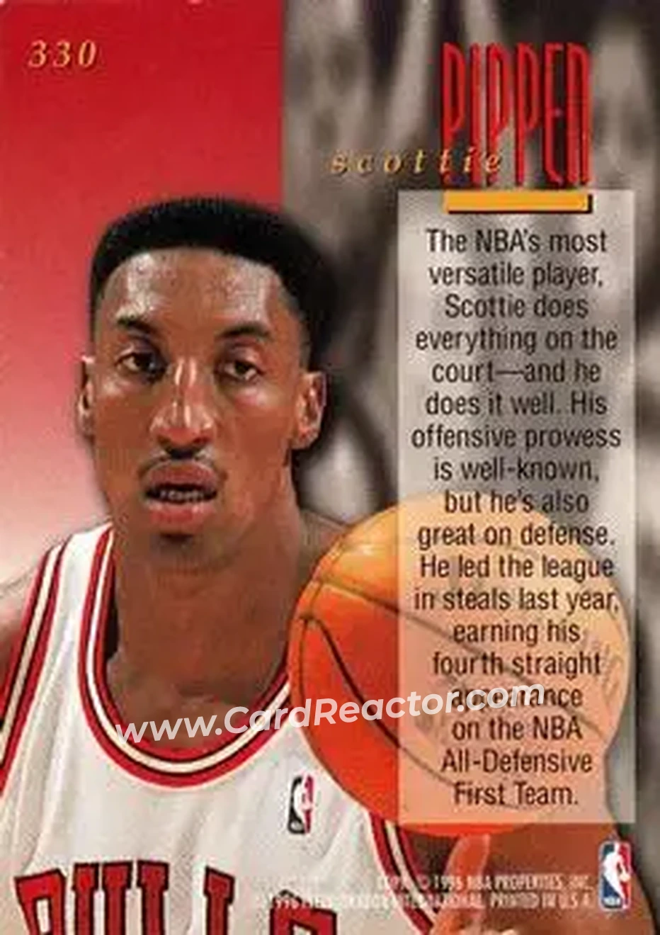 Back of Scottie Pippen