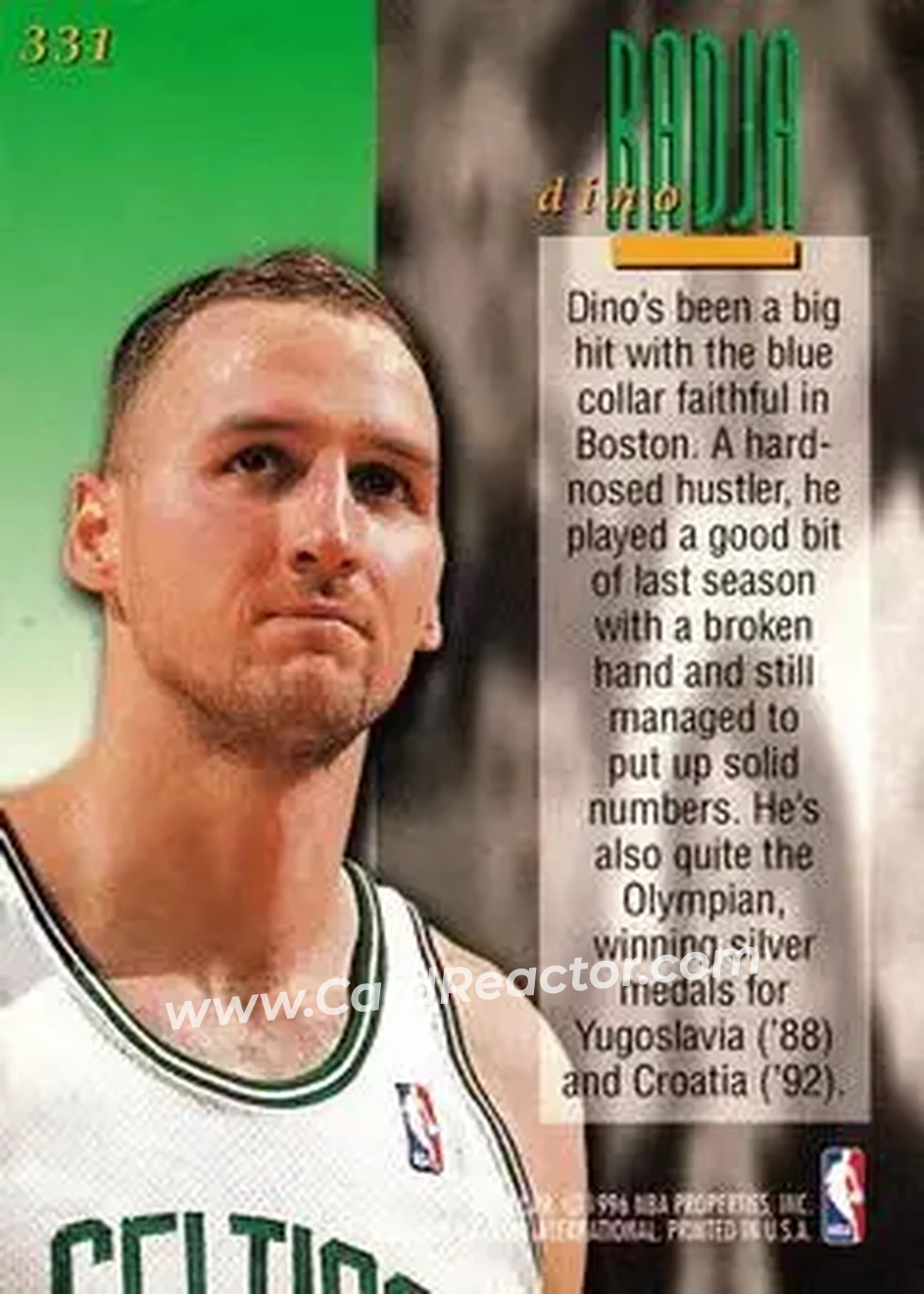 Back of Dino Radja