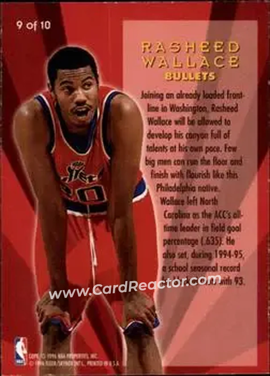 Back of Rasheed Wallace