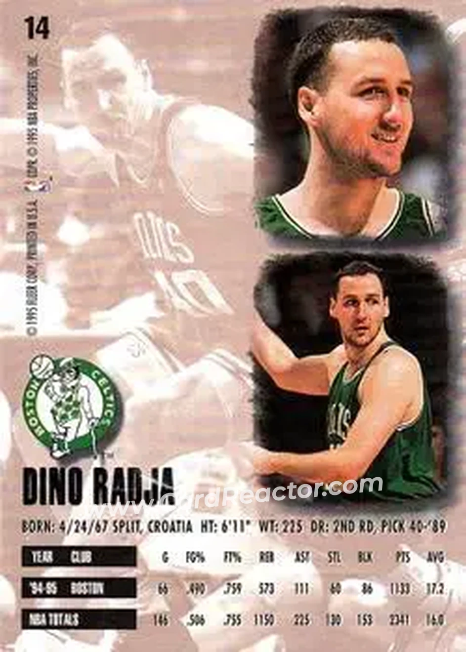 Back of Dino Radja