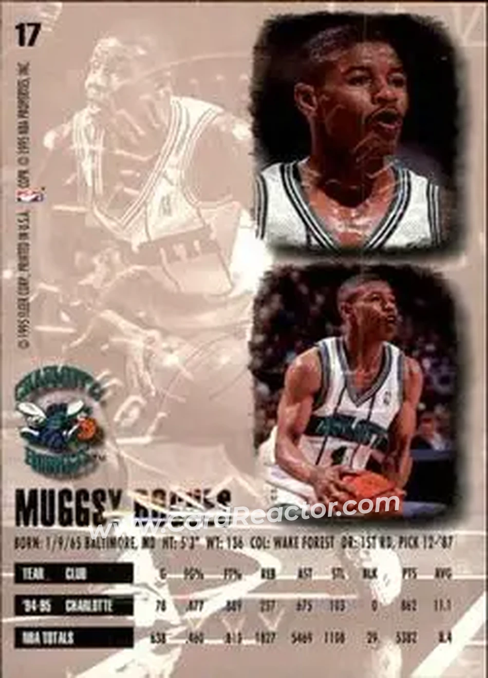 Back of Muggsy Bogues