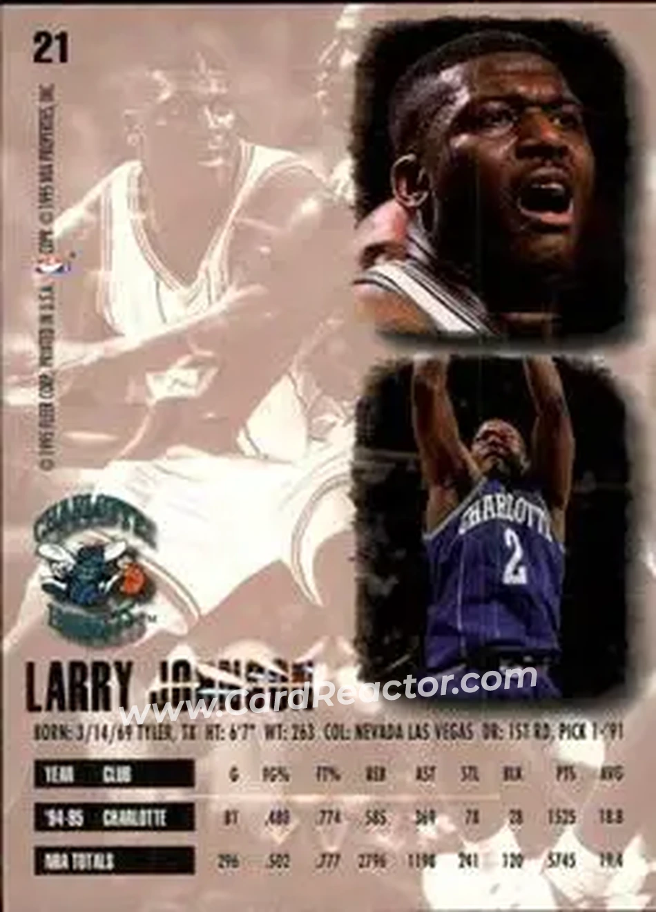 Back of Larry Johnson