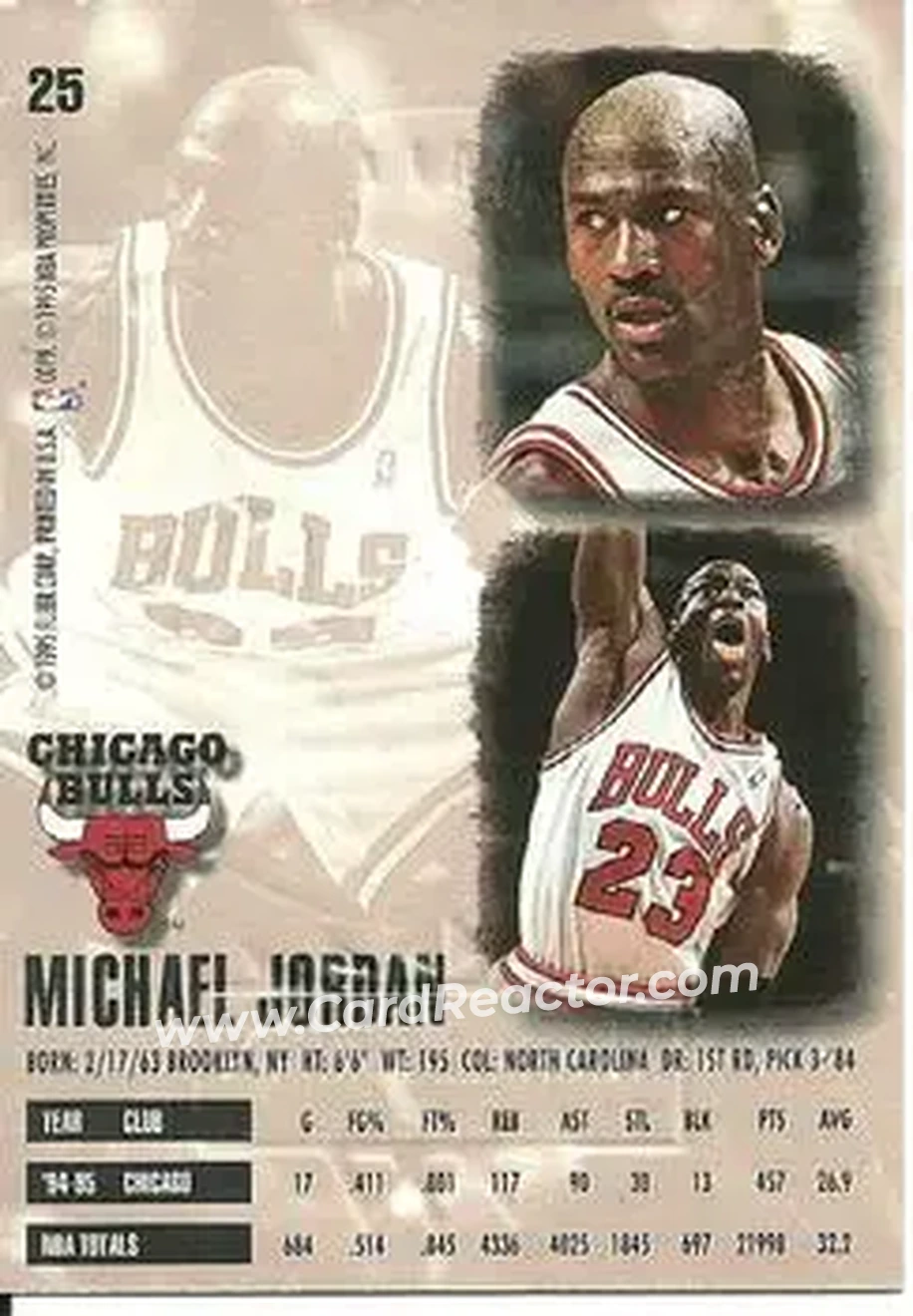 Back of Michael Jordan