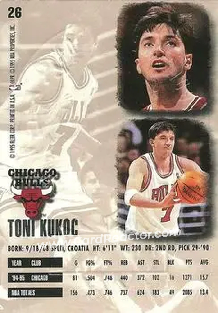 Back of Toni Kukoc