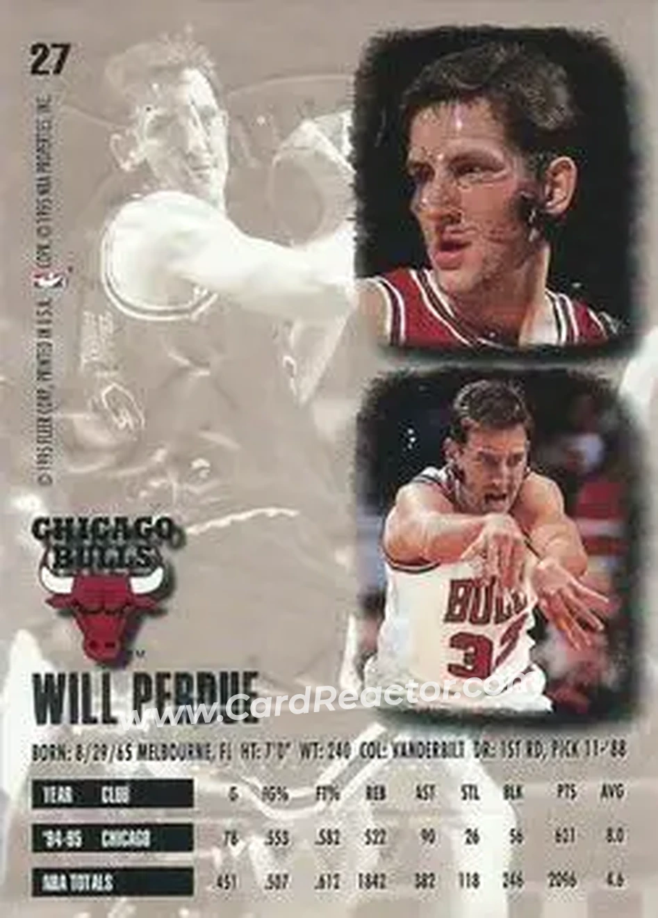 Back of Will Perdue