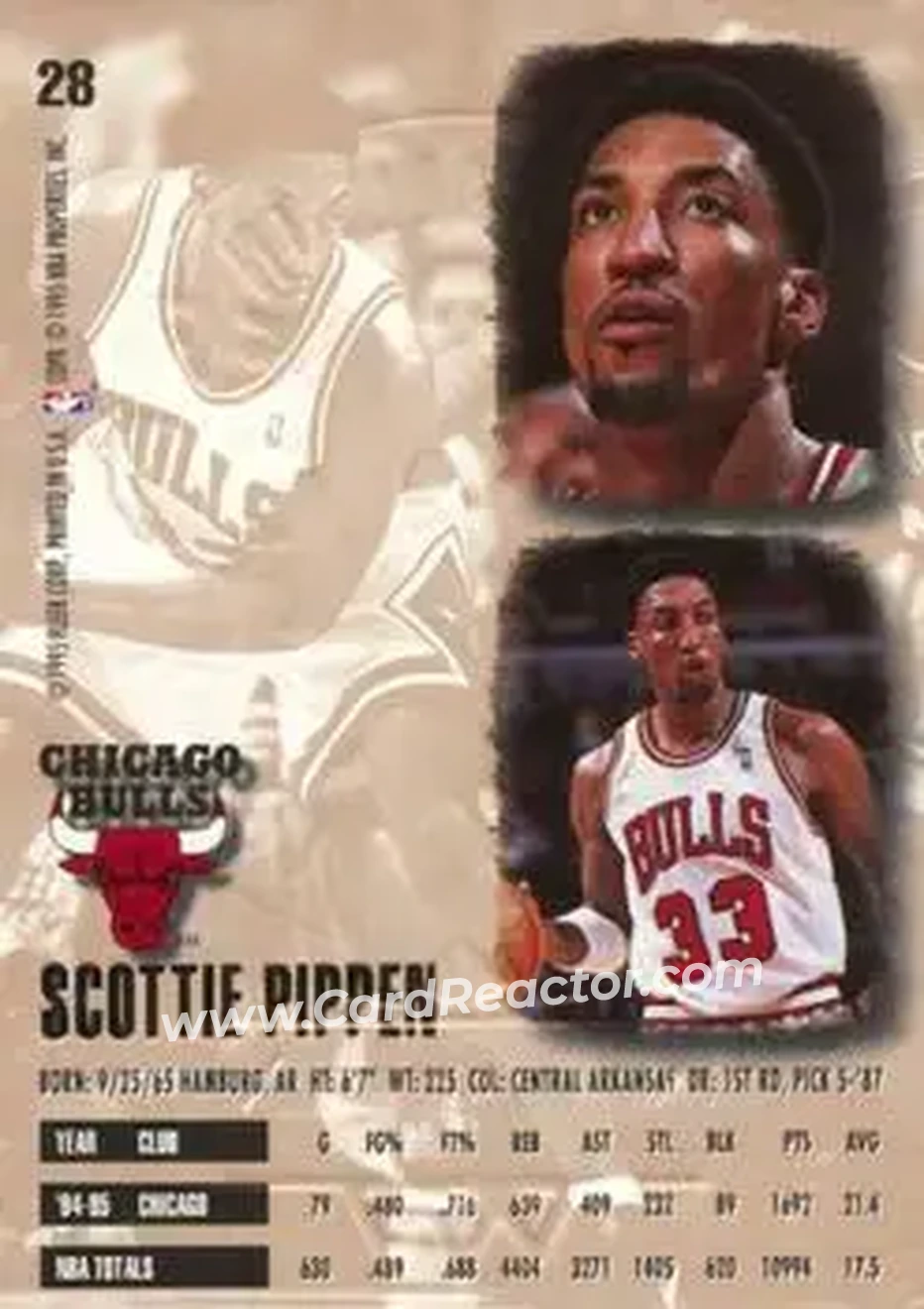 Back of Scottie Pippen