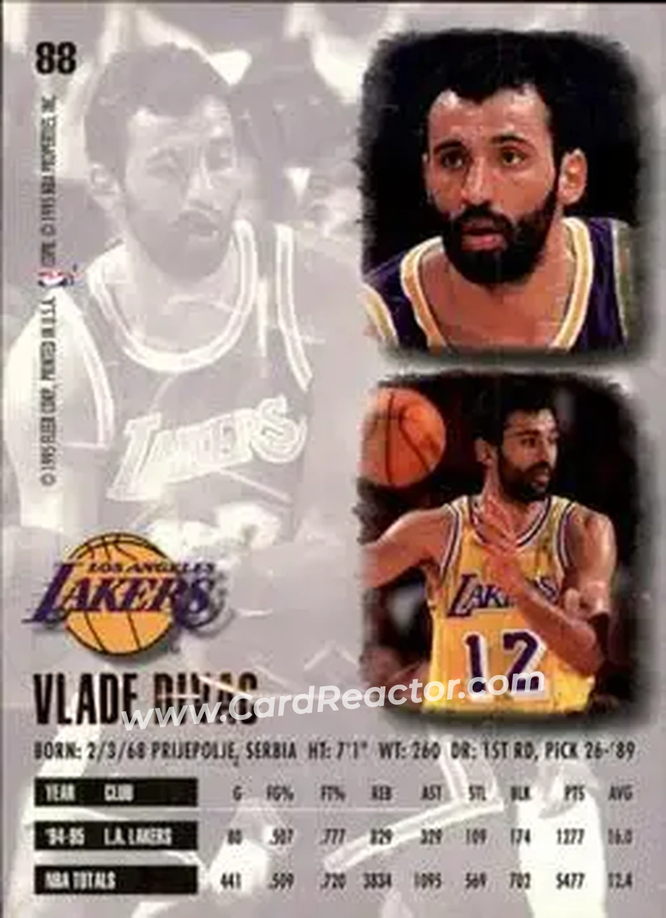 Back of Vlade Divac