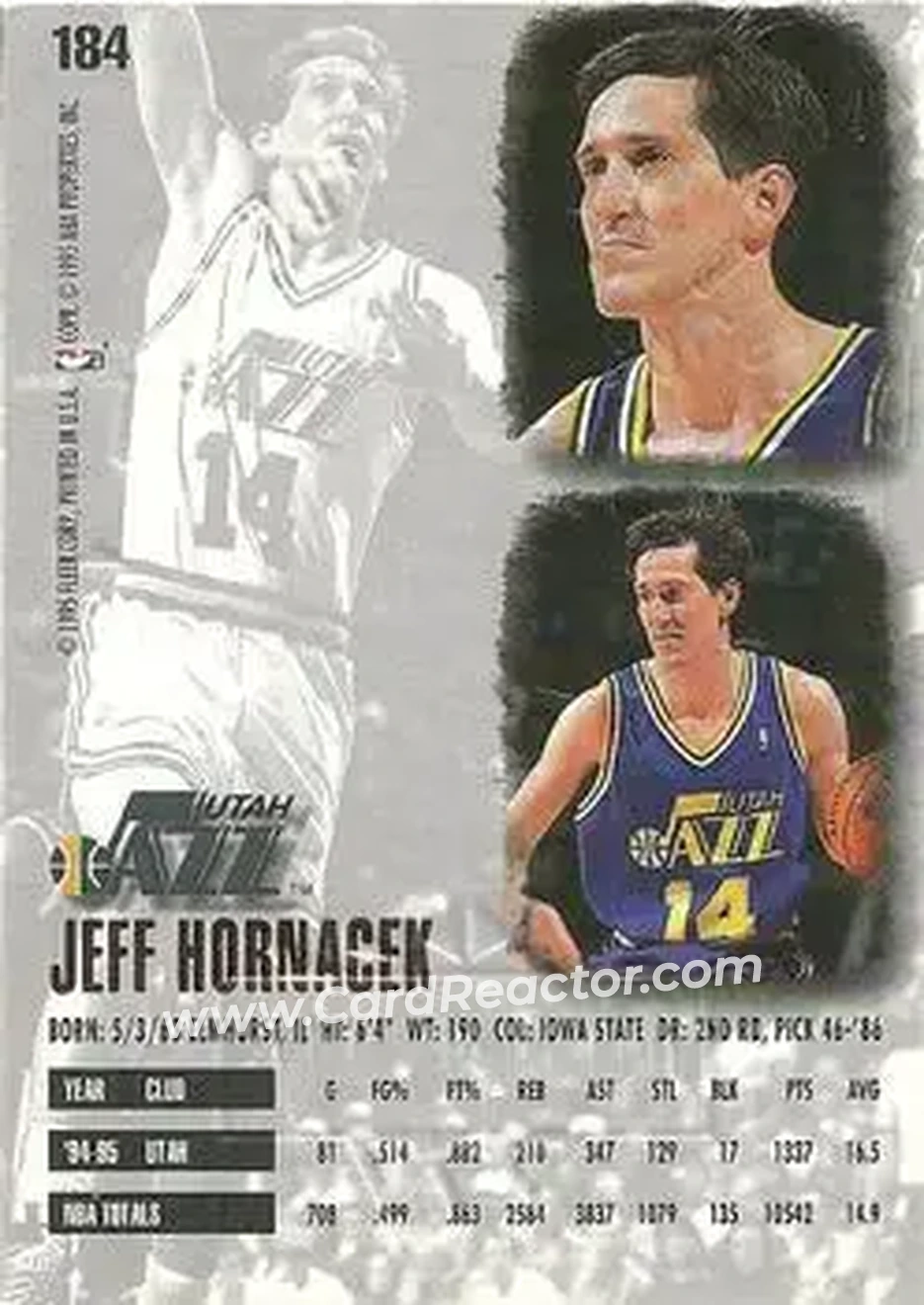 Back of Jeff Hornacek