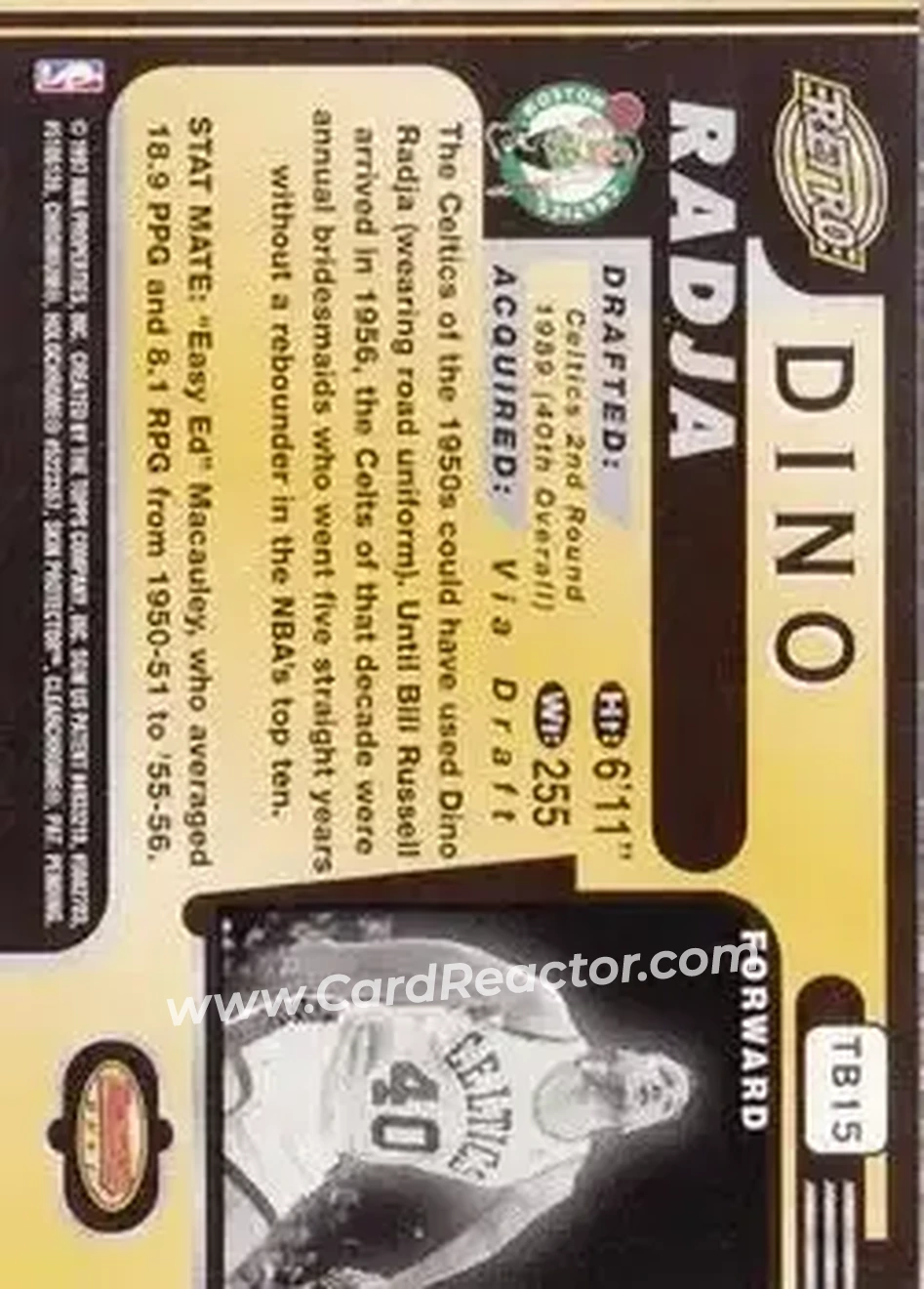 Back of Dino Radja
