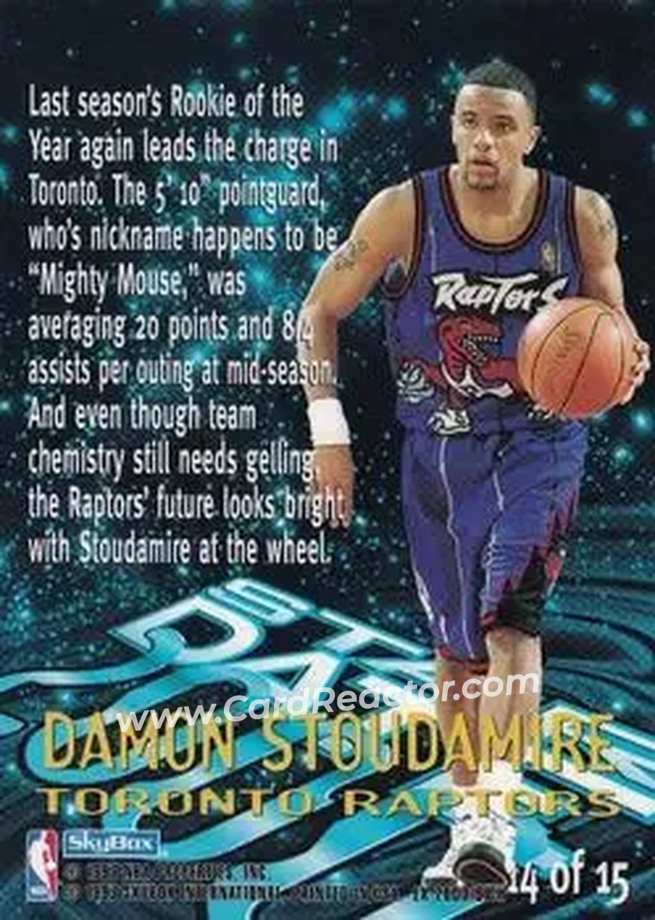Back of Damon Stoudamire