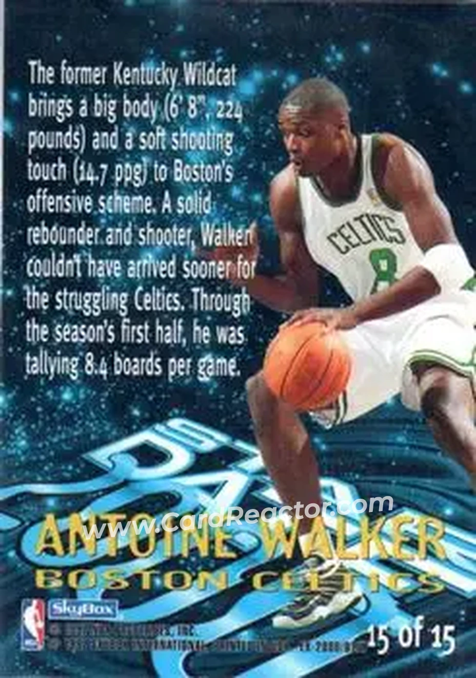 Back of Antoine Walker