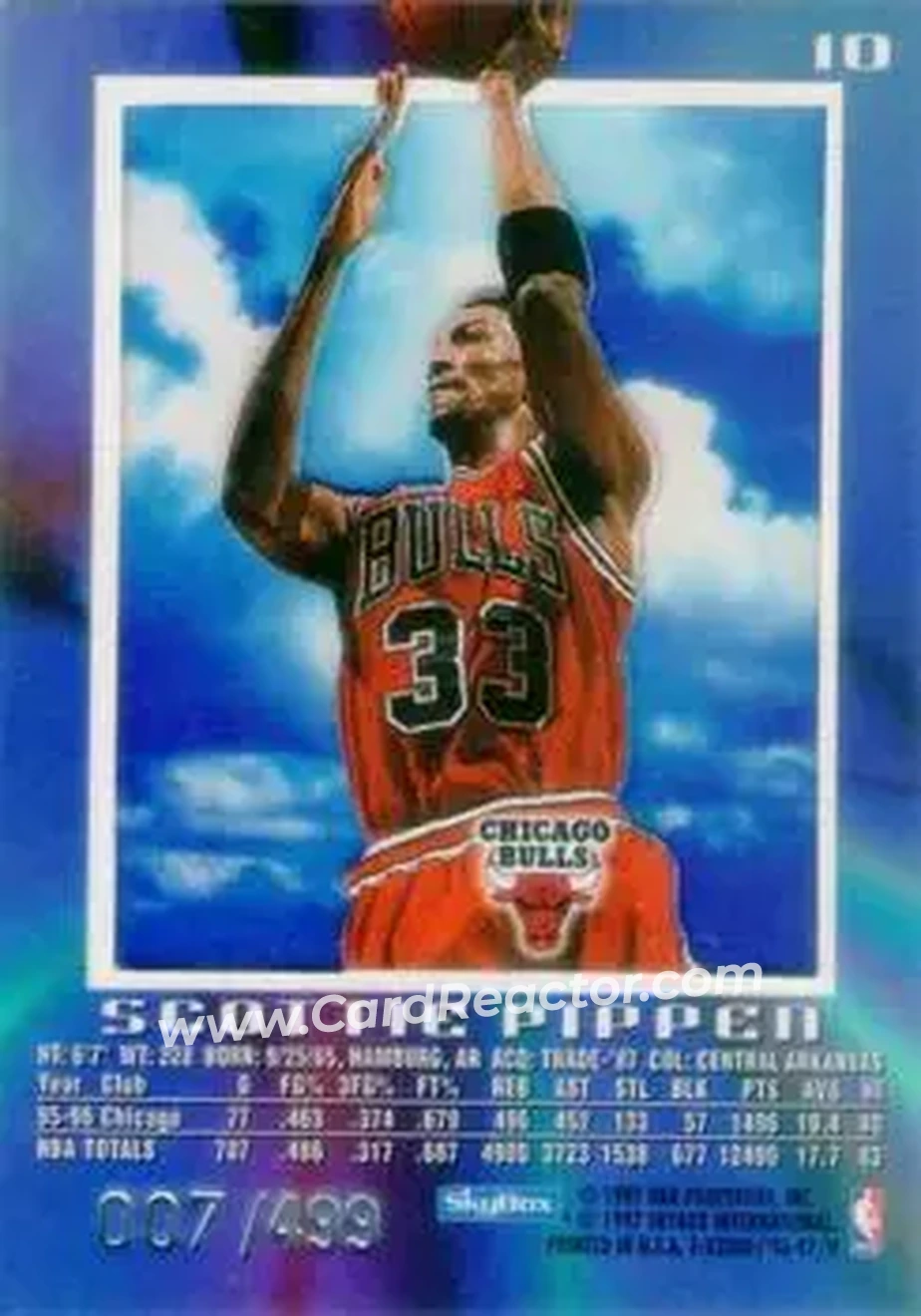 Back of Scottie Pippen