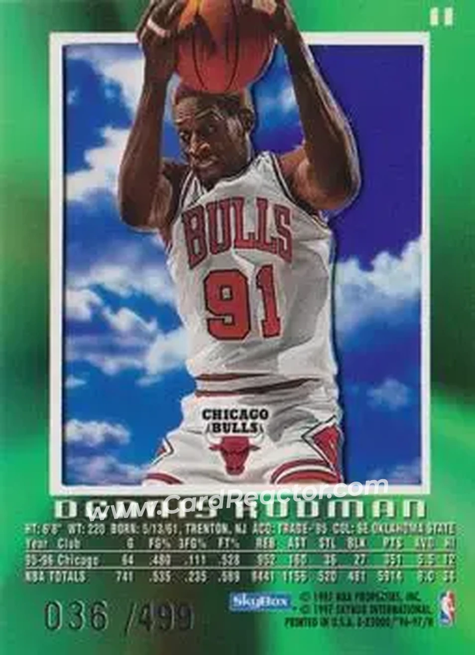 Back of Dennis Rodman