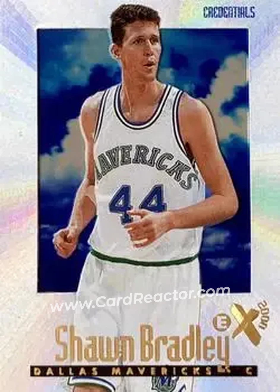 Front of Shawn Bradley