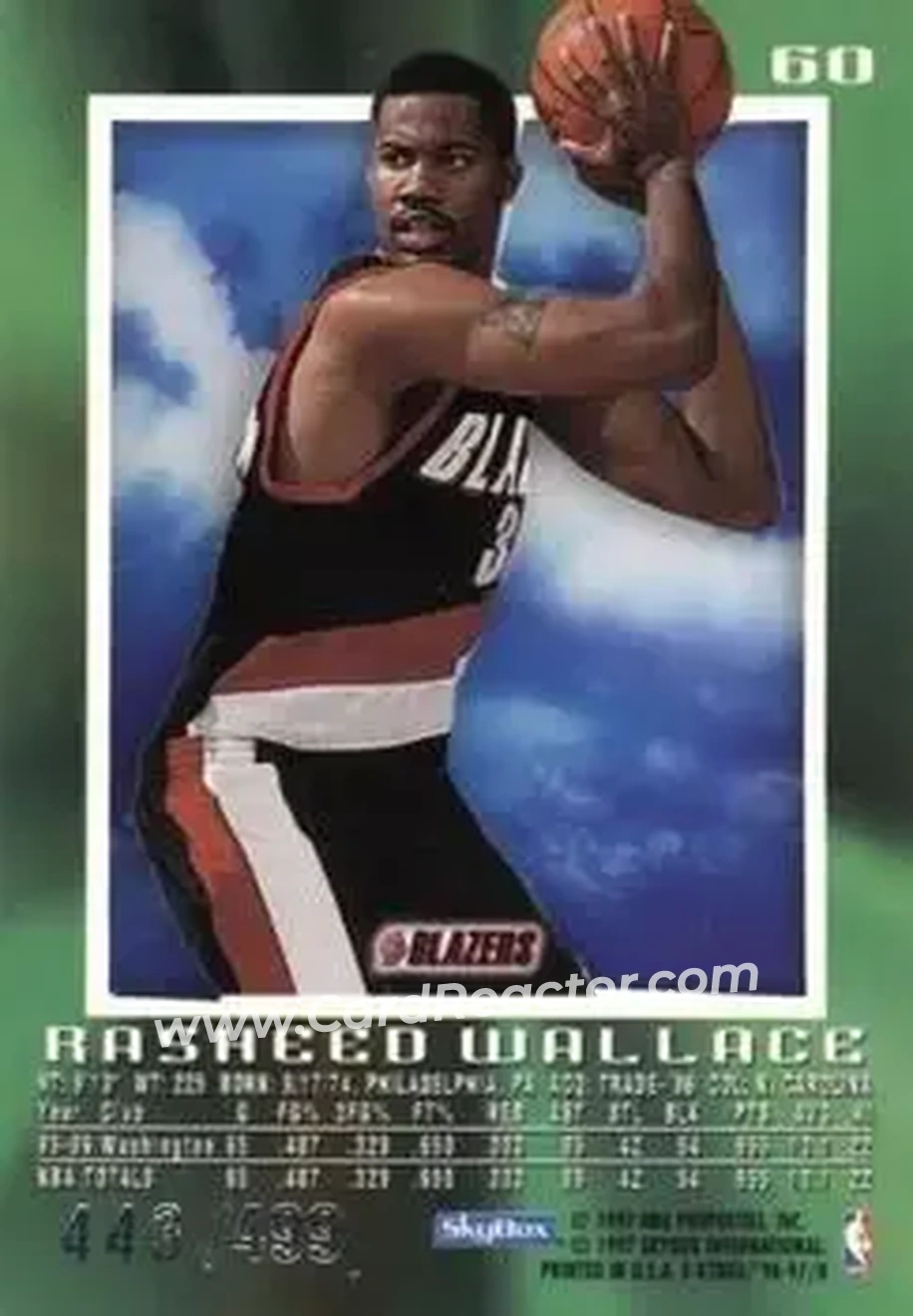 Back of Rasheed Wallace