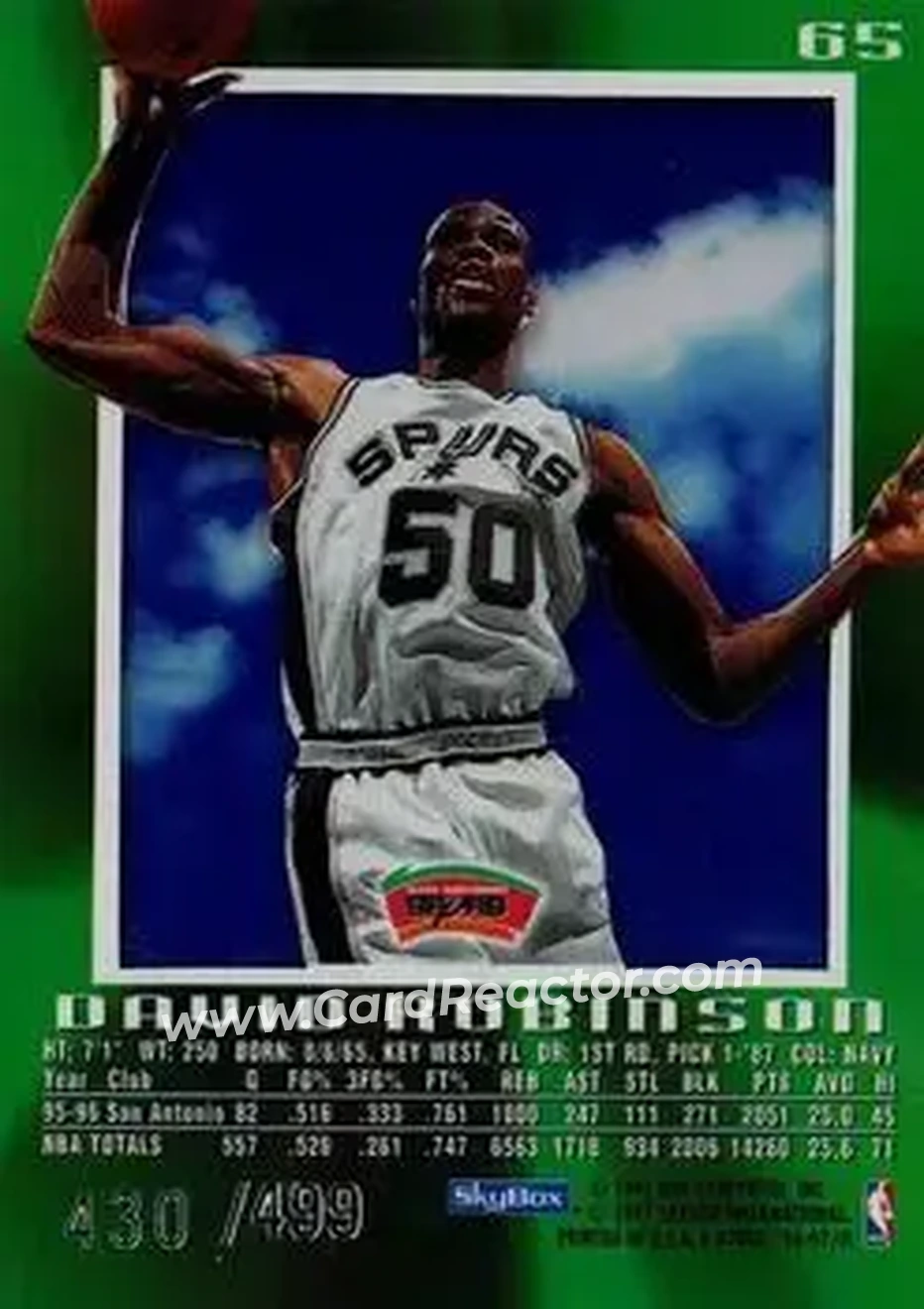 Back of David Robinson