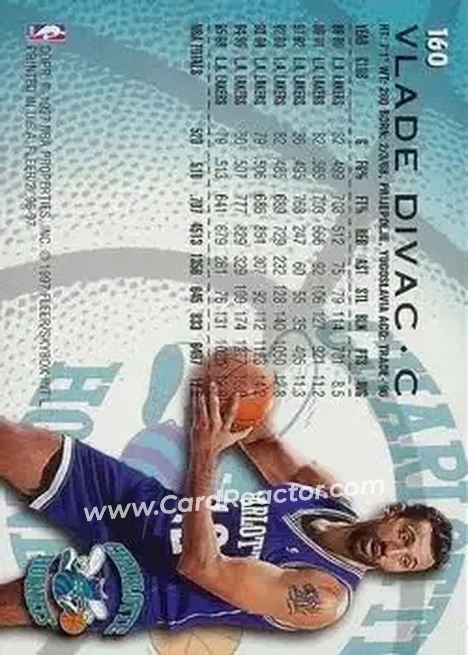 Back of Vlade Divac