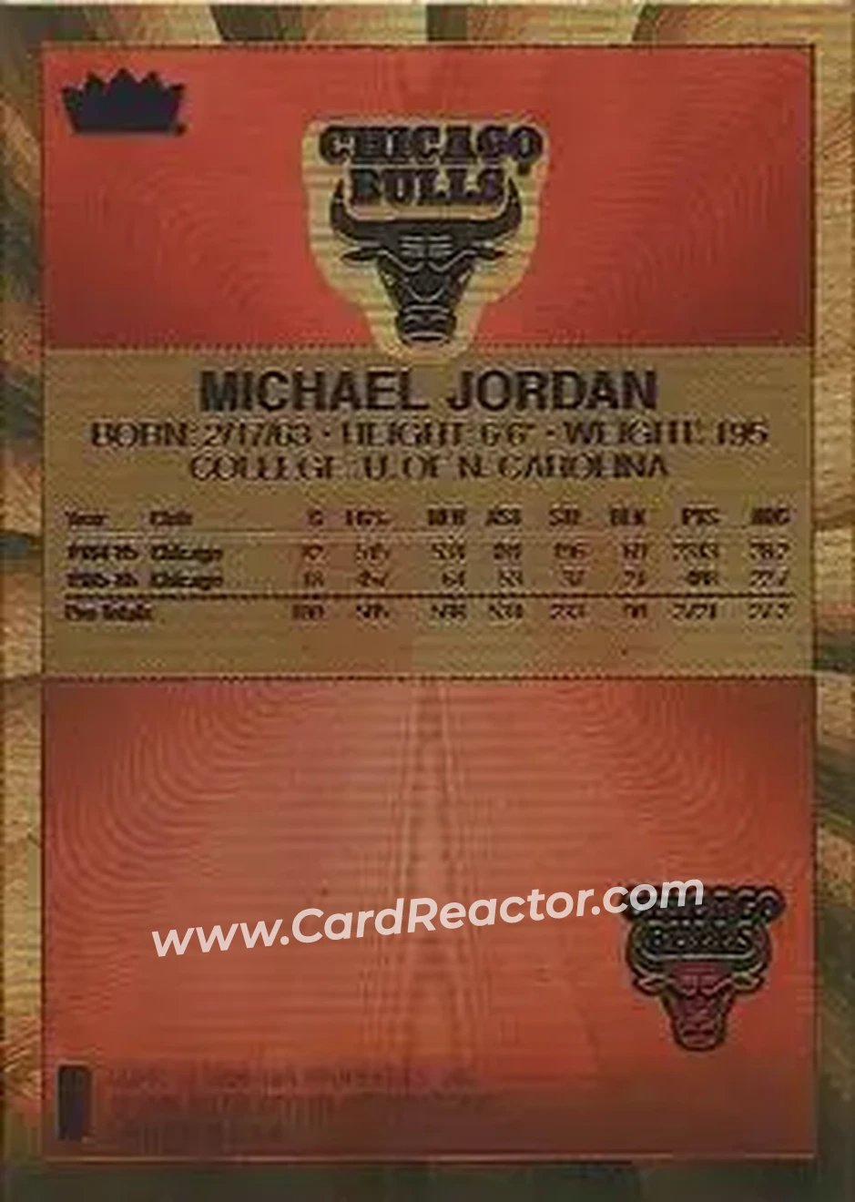 Back of Michael Jordan