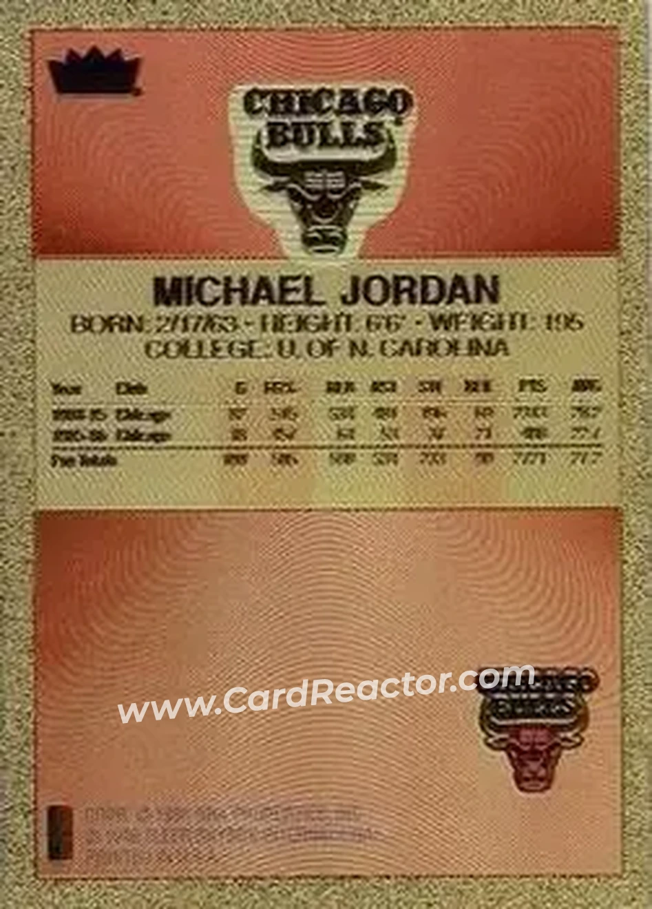 Back of Michael Jordan