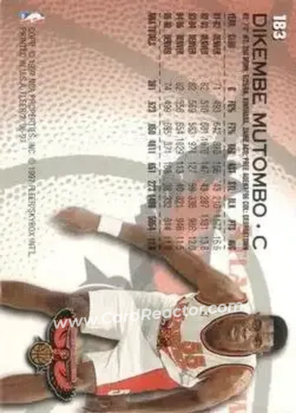 Back of Dikembe Mutombo