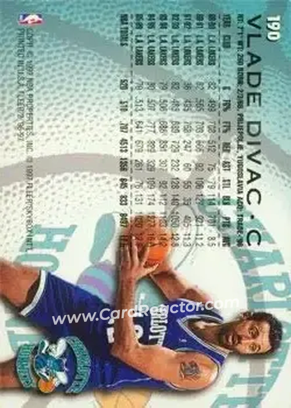 Back of Vlade Divac