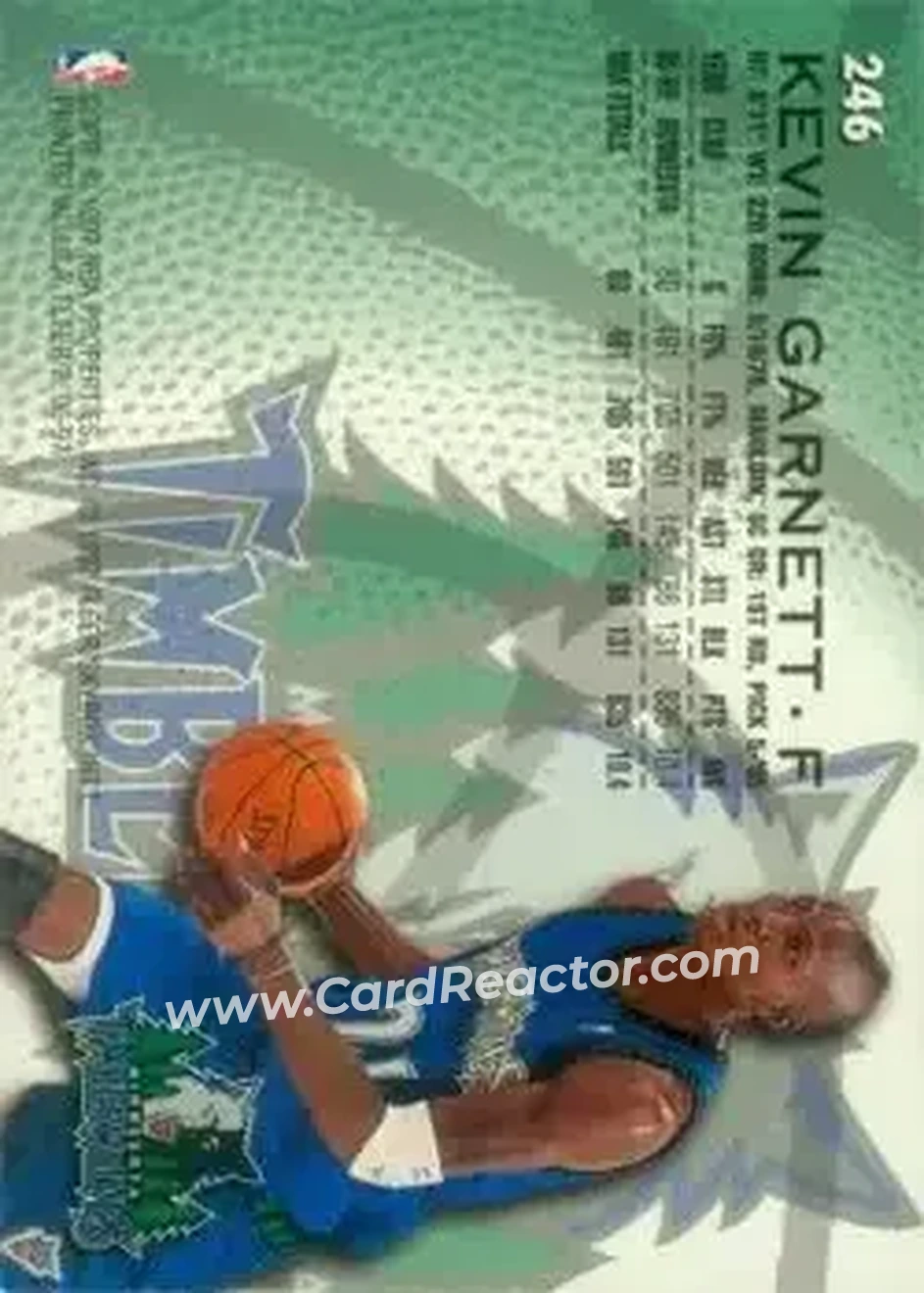 Back of Kevin Garnett