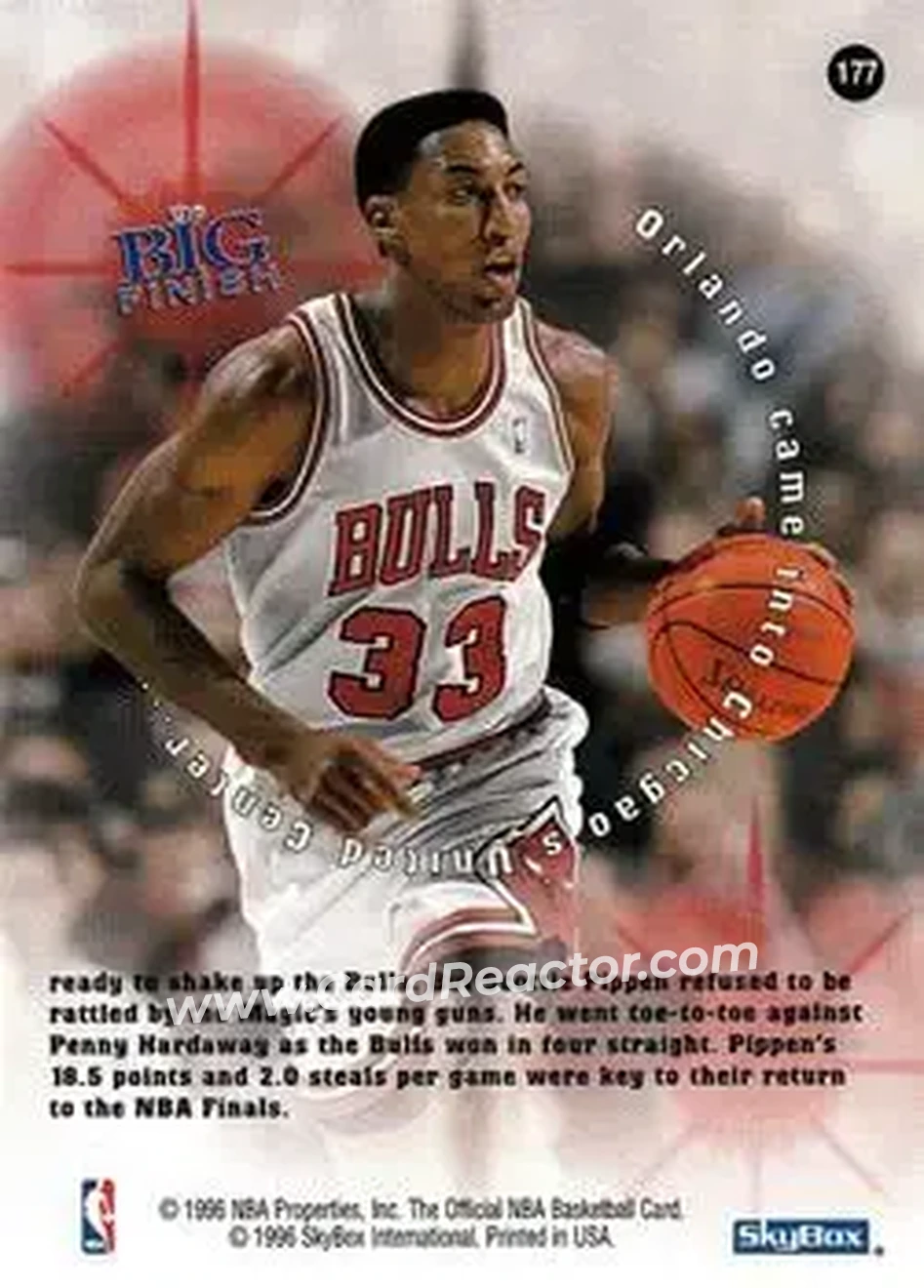 Back of Scottie Pippen