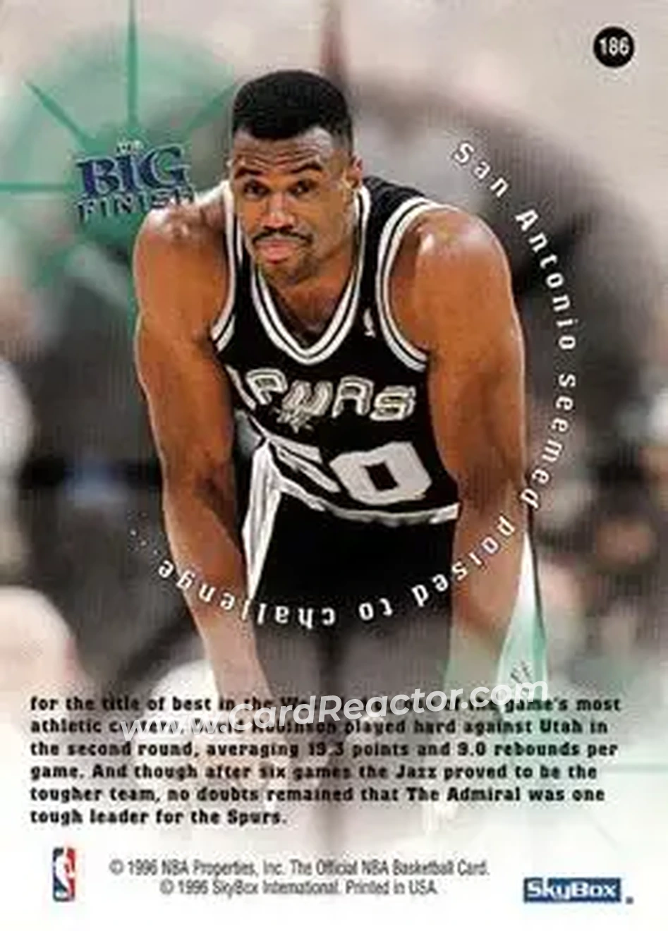 Back of David Robinson