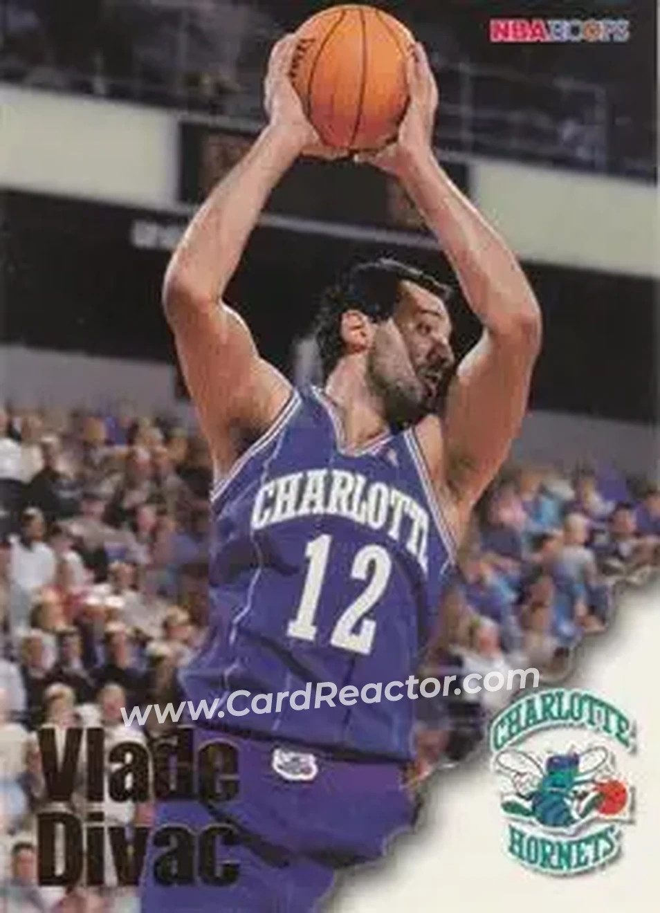 Front of Vlade Divac