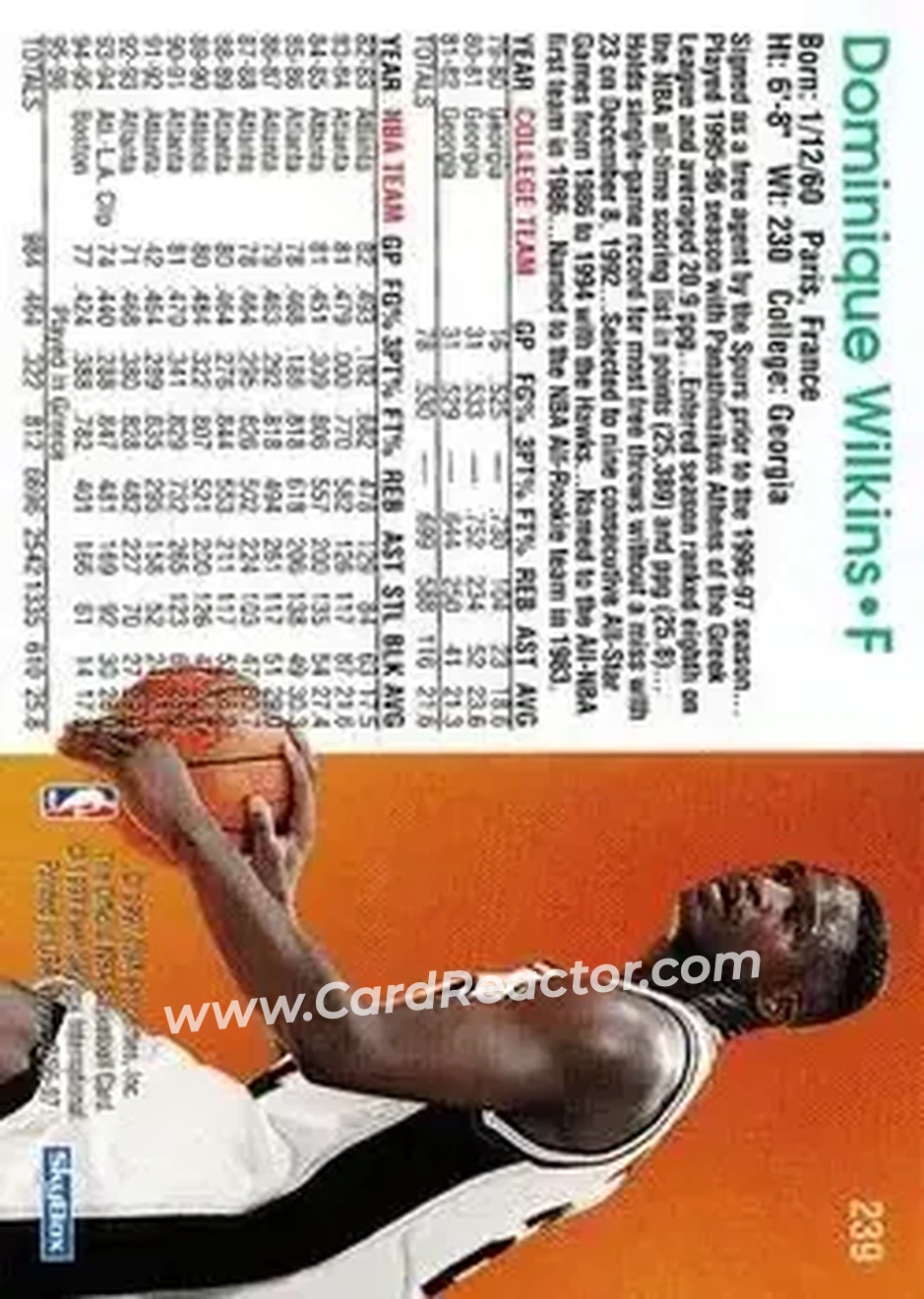 Back of Dominique Wilkins