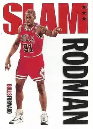 1996-97 Hoops #326 Dennis Rodman