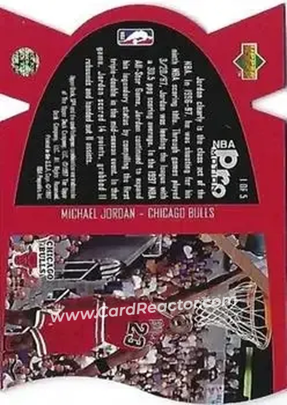 Back of Michael Jordan