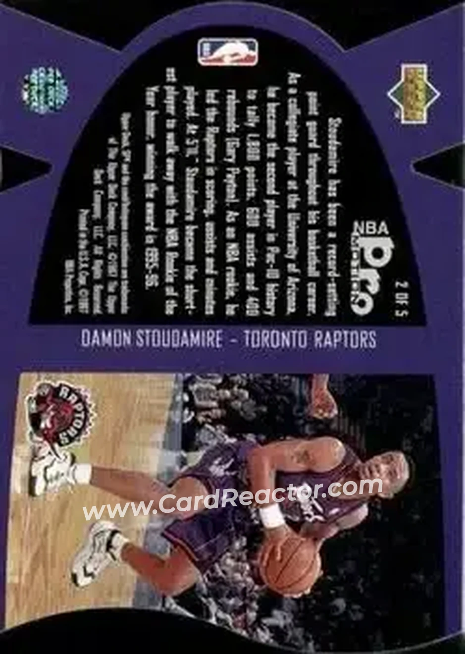Back of Damon Stoudamire
