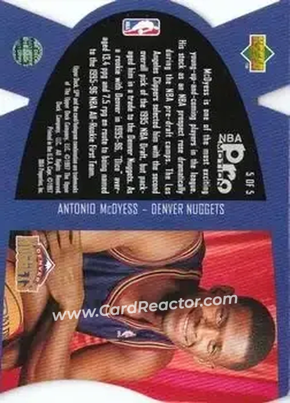 Back of Antonio McDyess