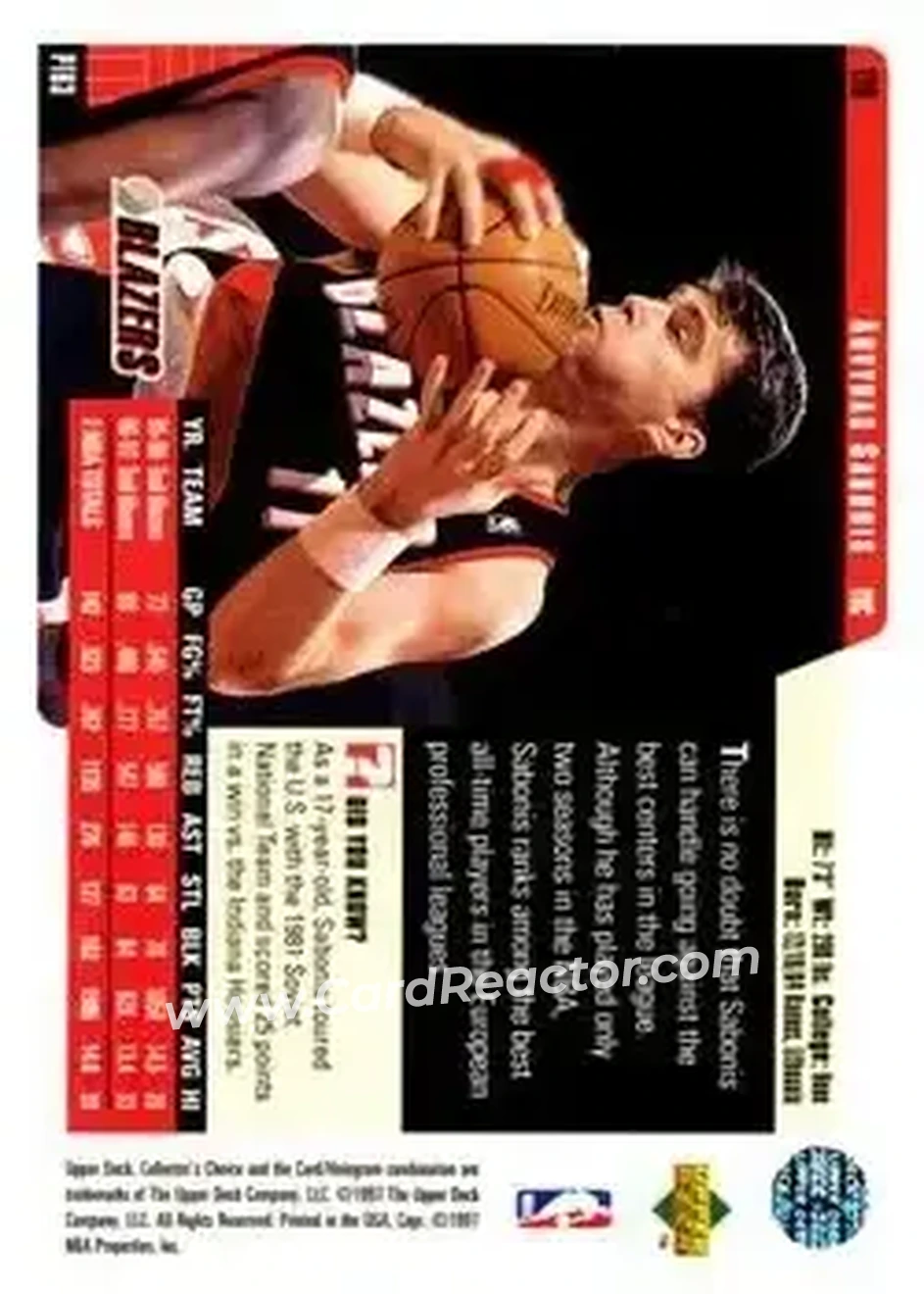 Back of Arvydas Sabonis