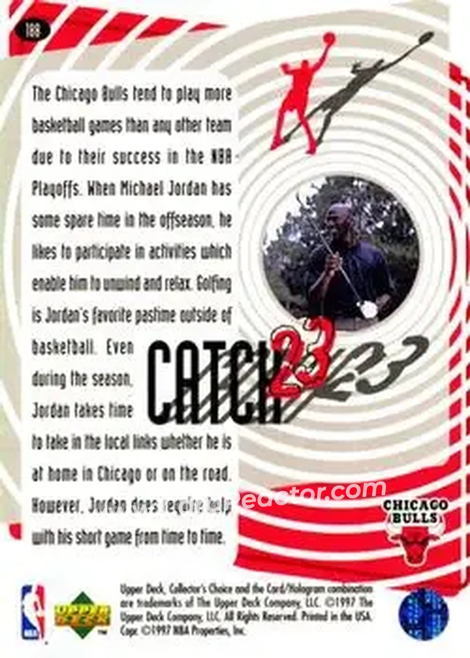 Back of Michael Jordan