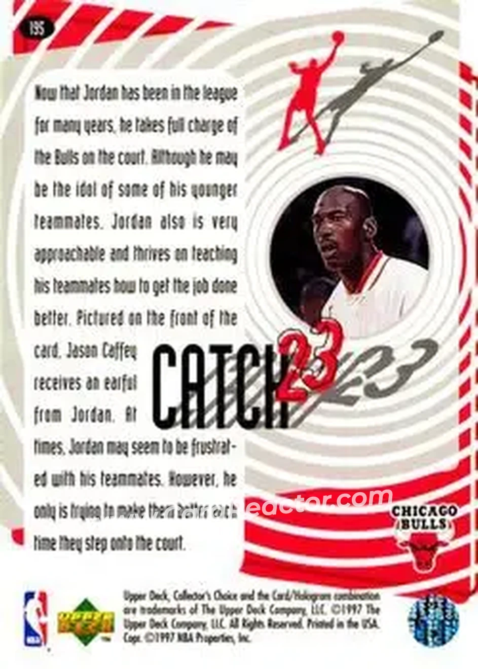 Back of Michael Jordan