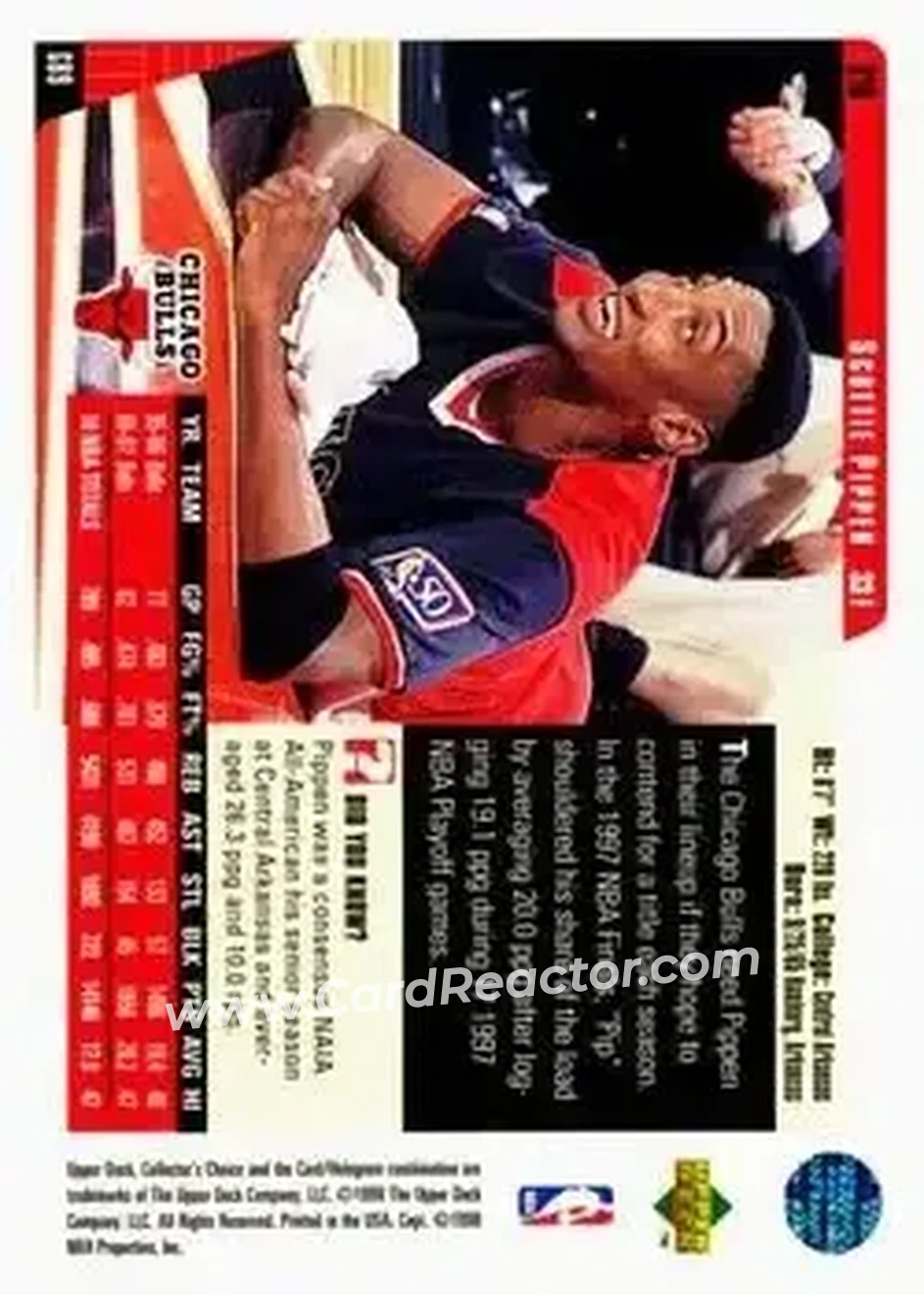 Back of Scottie Pippen