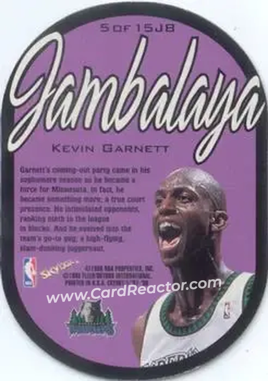 Back of Kevin Garnett