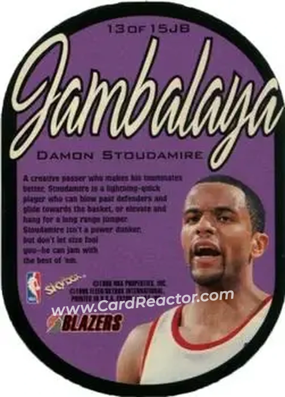 Back of Damon Stoudamire