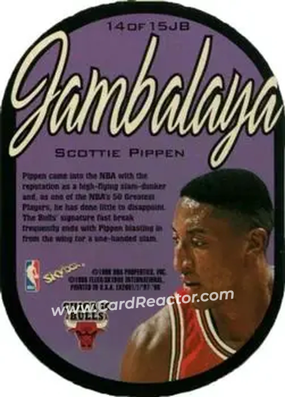 Back of Scottie Pippen