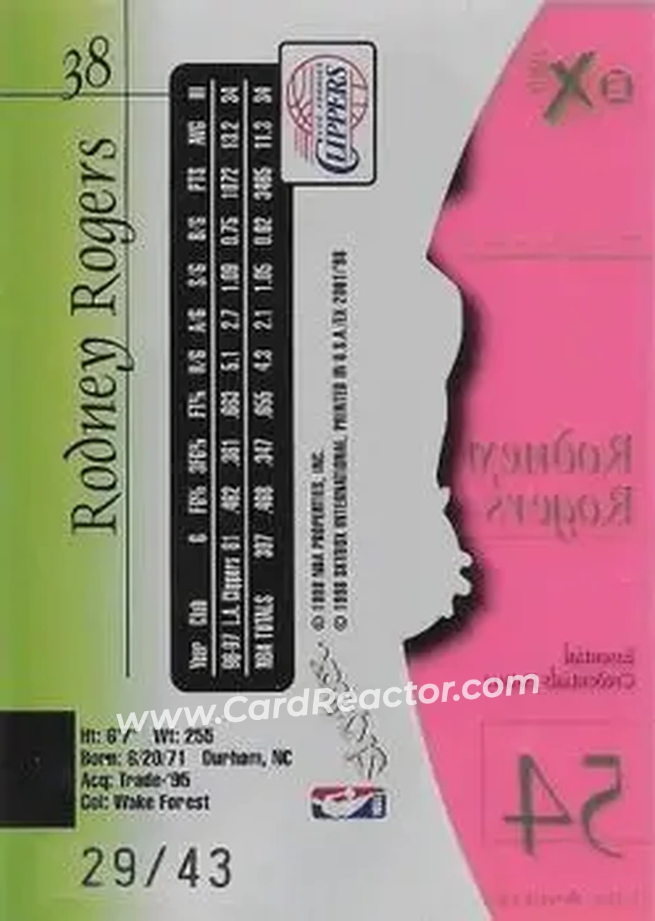 Back of Rodney Rogers