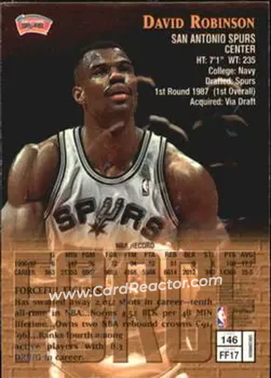 Back of David Robinson