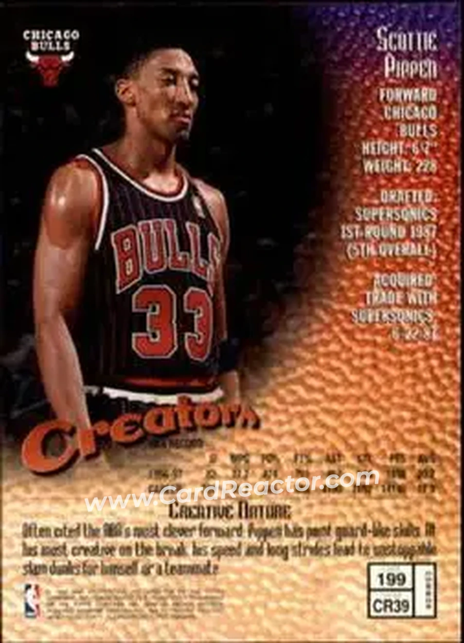 Back of Scottie Pippen
