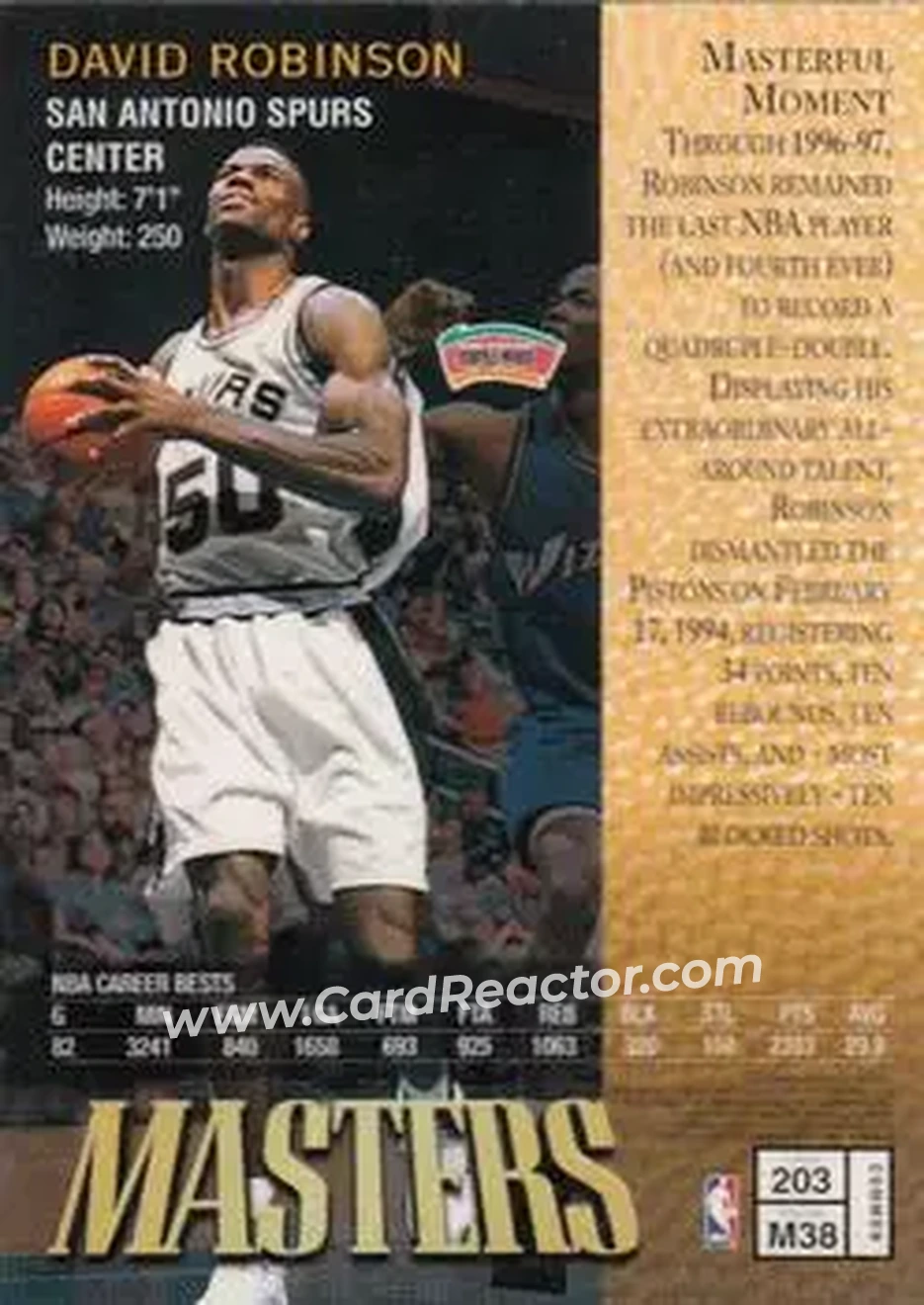 Back of David Robinson